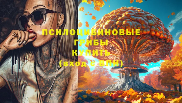 дживик Белокуриха