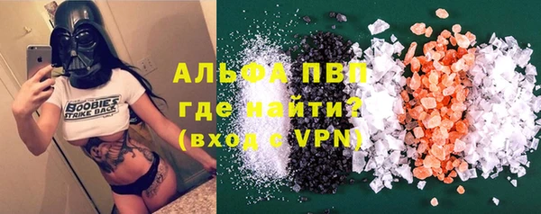 сатива Богданович