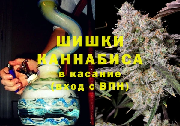 сатива Богданович