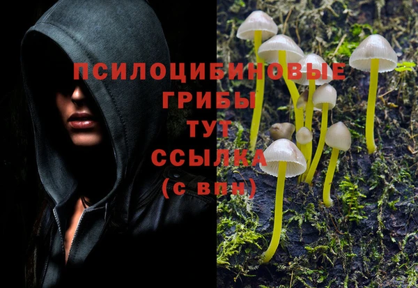 сатива Богданович