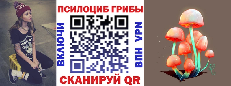 Купить Бавлы Псилоцибиновые грибы Magic Shrooms